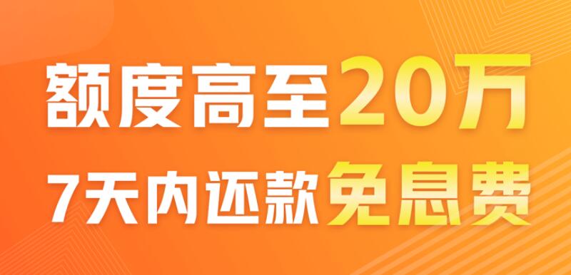 最安全的借款平台 哪个贷款平台最容易贷到款351